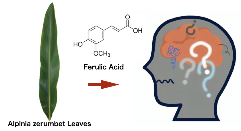 Alzheimer's prevention in Japan