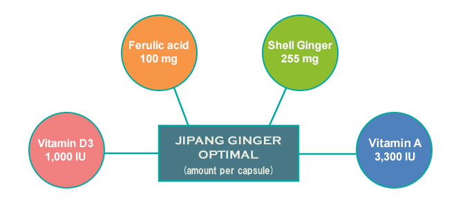 shell ginger amount