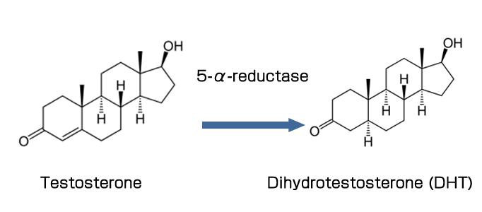 prostate cancer reductase