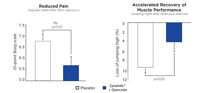 mango leaf reducing pain