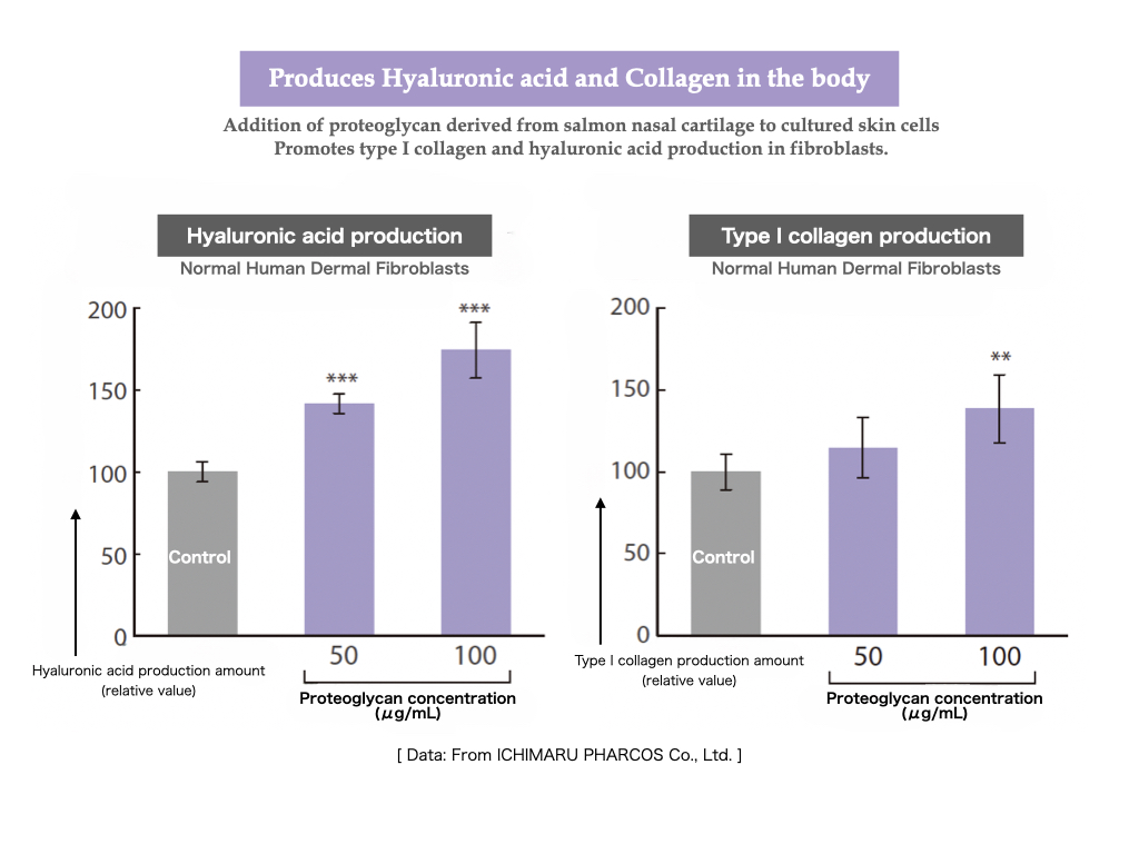 Proteoglycan collagen, hyaluronic acid production graph.Jipang Ginger Proteoglycan Made in Japan Makise Lab.