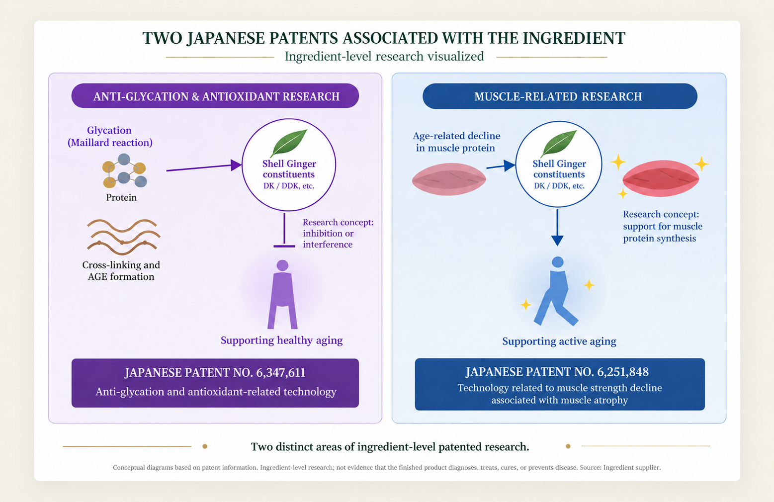 Two Japanese patents associated with the Shell Ginger ingredient