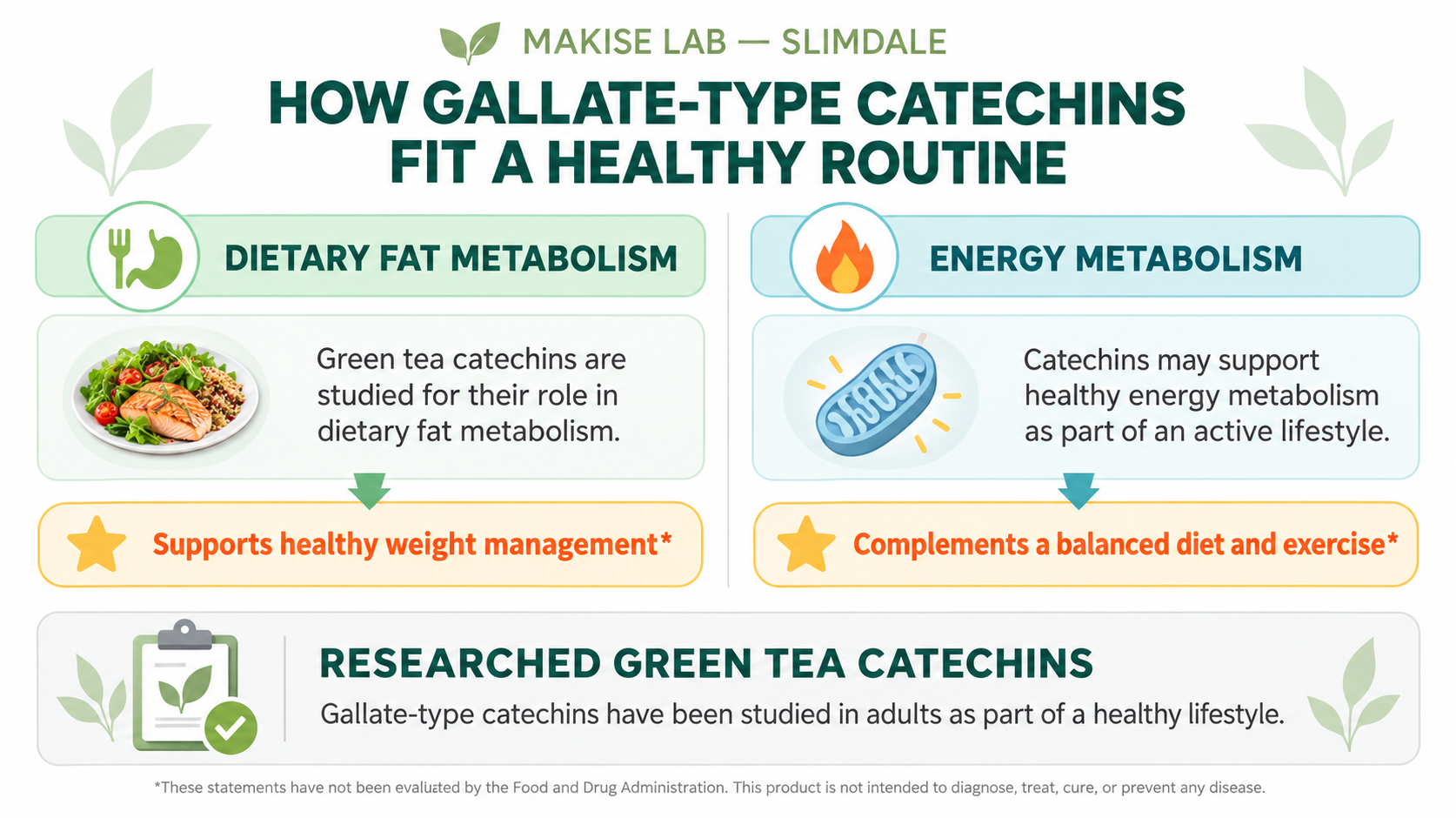 How gallate-type catechins fit a healthy routine