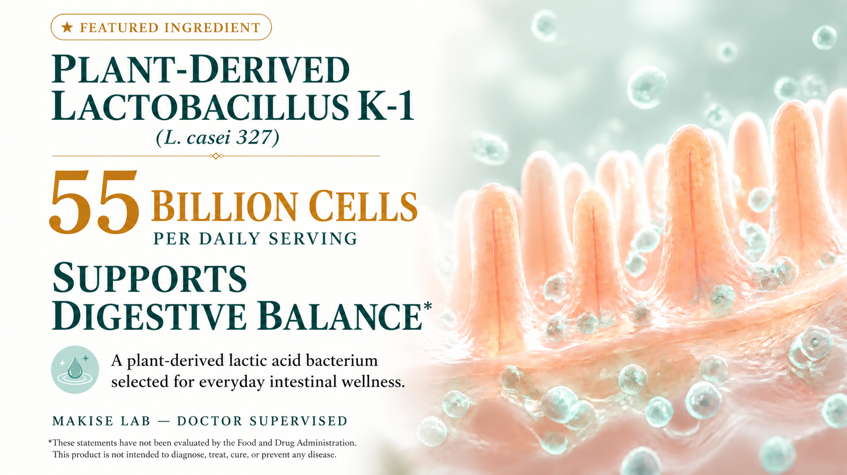 Plant-derived Lactobacillus K-1, 55 billion cells per daily serving