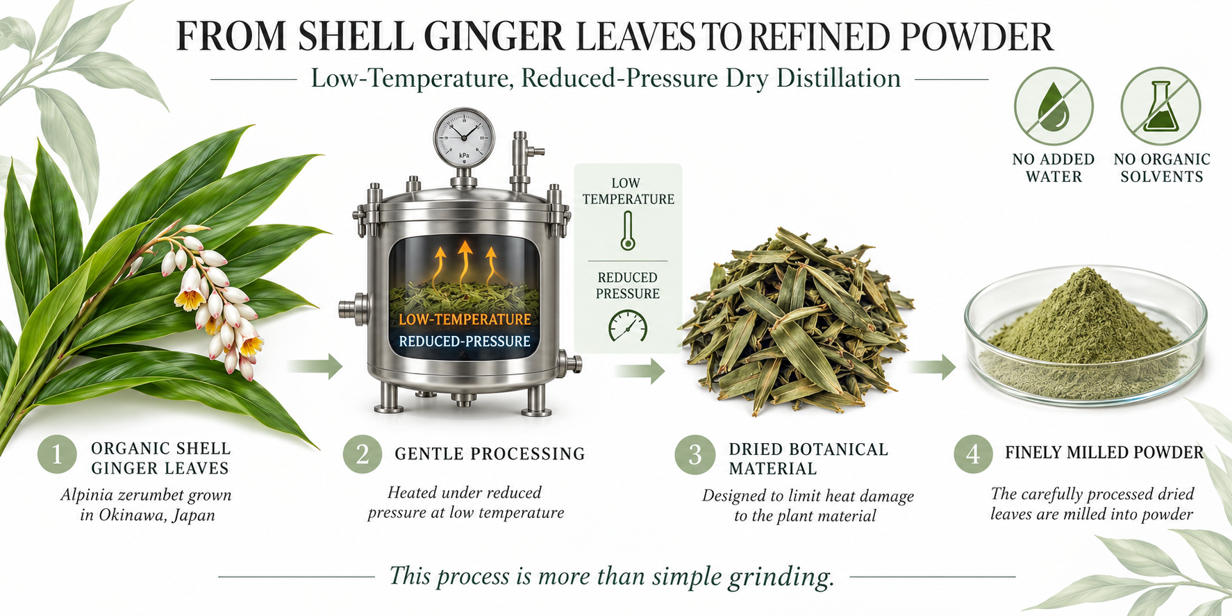 JIPANG Ginger WASABI - 60 Vegetable Capsules 4 Low-temperature, reduced-pressure processing of Shell Ginger leaves