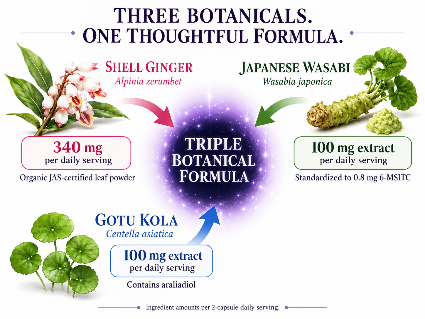 JIPANG Ginger WASABI - 60 Vegetable Capsules 3 Three-botanical formula and daily ingredient amounts