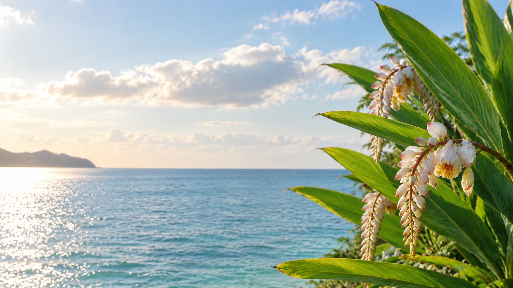 Shell Ginger and the Okinawa coast